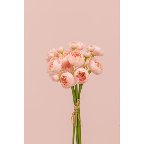 Mini Ranunculus Bunch SM056-LPNK
