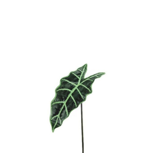 Variegated Leaf SM062-GREEN