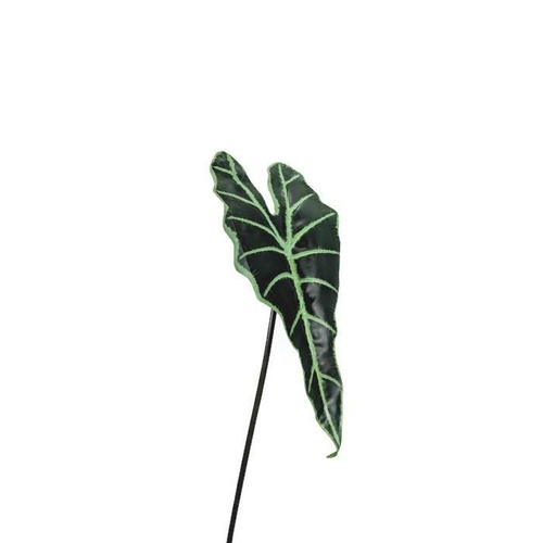 Variegated Leaf  SM063-GREEN
