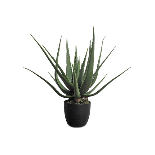 Aloe Cactus plant SM067-GREEN