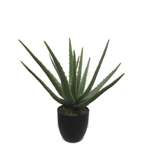 Small Cactus SM068-GREEN