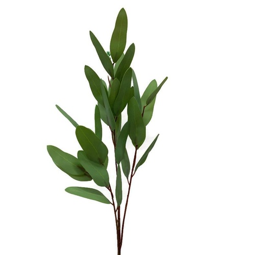 Eucalyptus Spray SM078-GRN