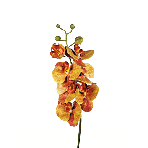 Phalaenopsis Orchid - Orange/Yellow SM094-YEL