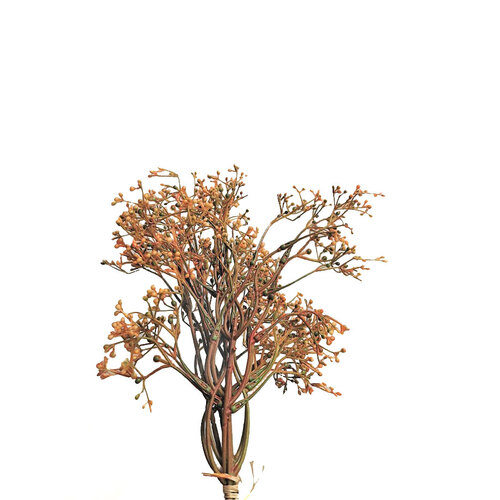 Gypsophila Bunch - Orange SM096-ORG