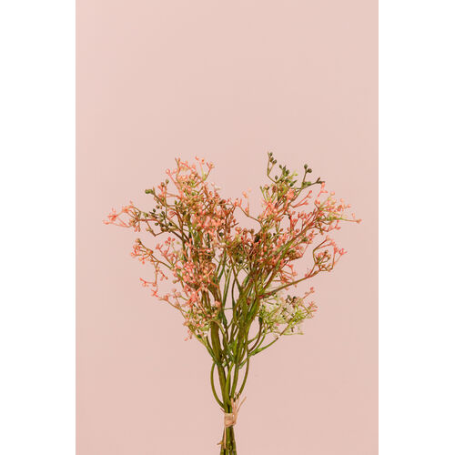 Gypsophila Bunch - Pink SM096-PNK