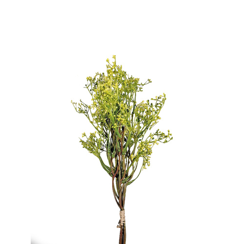 Gypsophila Bunch - Yellow SM096-YEL