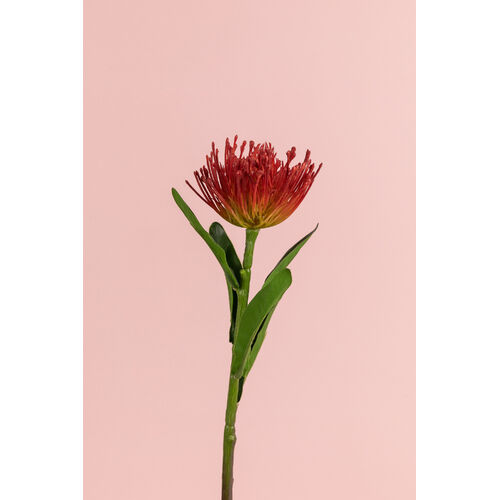 Pincushion SM101-RED