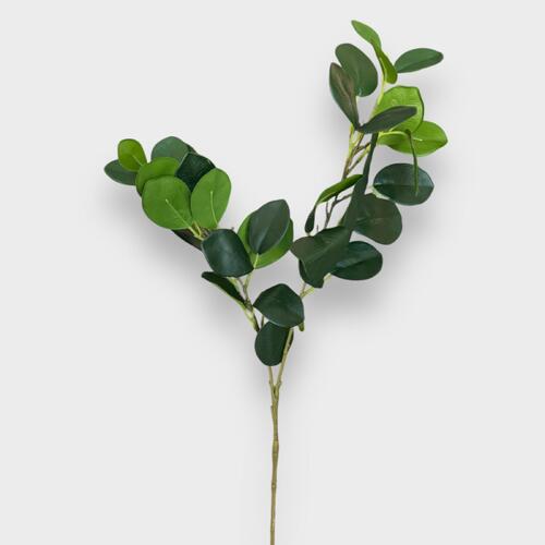 Ficus Leaf Spray SM102-GRN