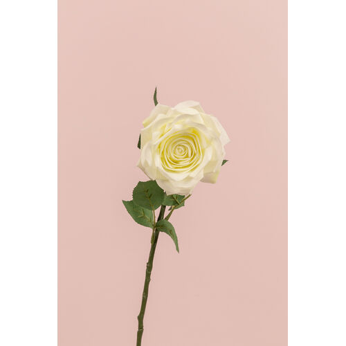 Medium Rose SM109-WHT