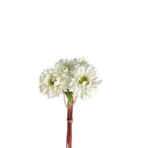 Daisy Bunch - WHT SM113-WHT