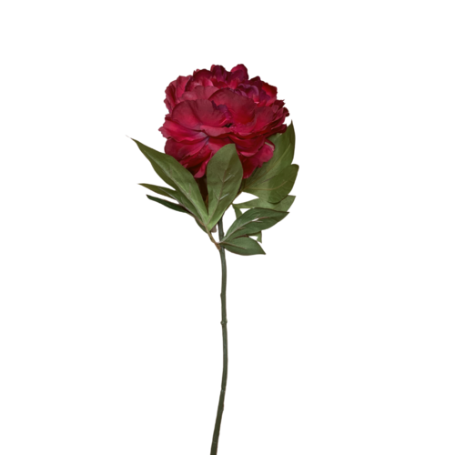 Peony  SM118-RD