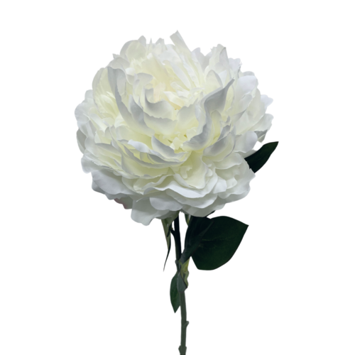 Peony SM118-WH