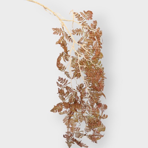 Leather Fern hanging Bush SM123-OR