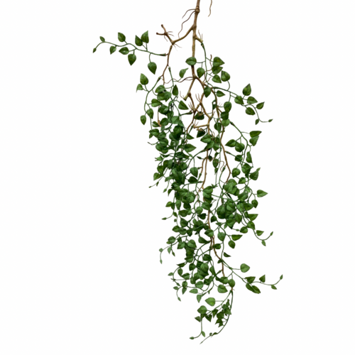 Tiny Ficus Fern hanging Bush SM124-GR