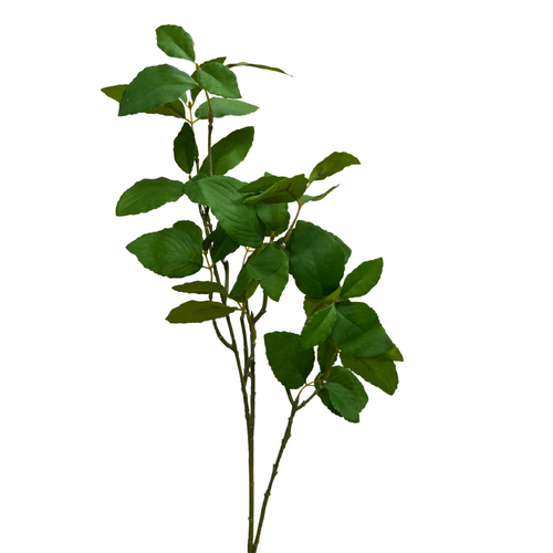 Leaf Spray SM129
