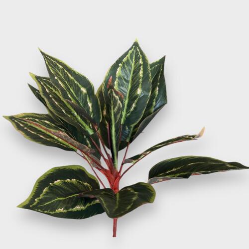 Calathea Leaf Bunch SM131-DGR