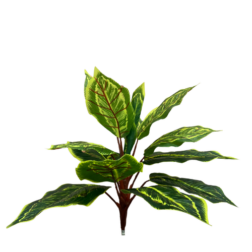 Cathalea Leaf Bunch SM131-GR