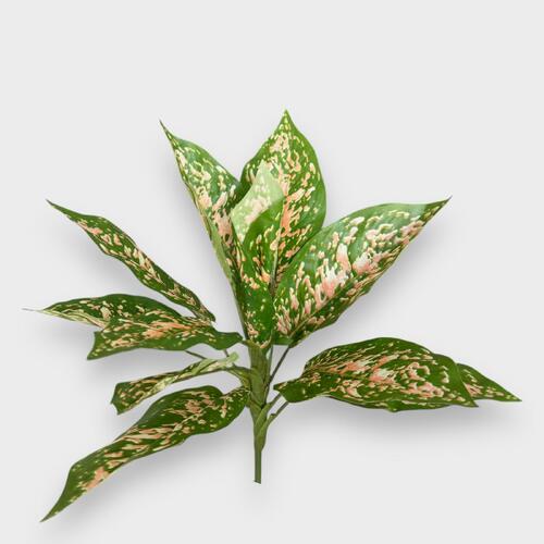 Calathea Leaf Bunch SM131-GRPNK