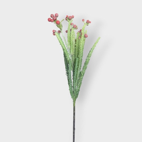 Berzillia SM135-RD
