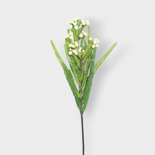 Berzillia SM135-WH