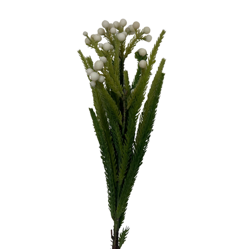 Berzillia SM135-WH