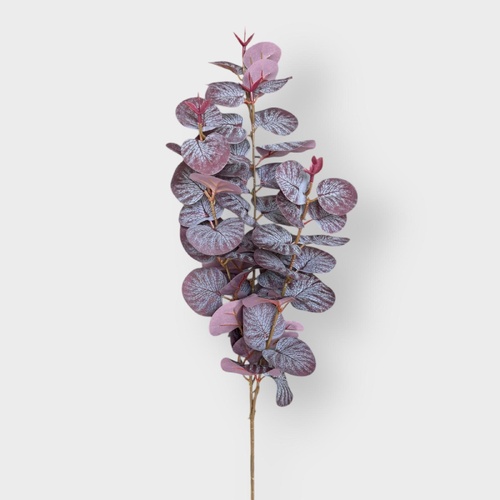 Eucalyptus Spray SM137-BUR