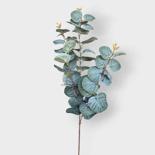Eucalyptus Spray SM137-DGR