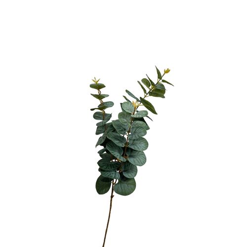 Eucalyptus Spray SM137-DGRN