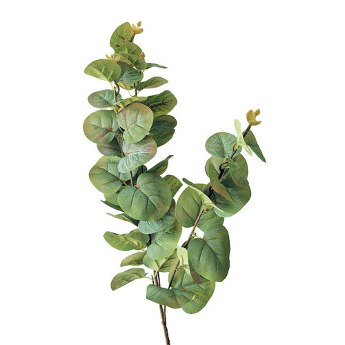 Eucalyptus Spray SM137-GRN