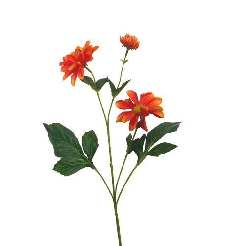 Daisy Spray SM143-OR