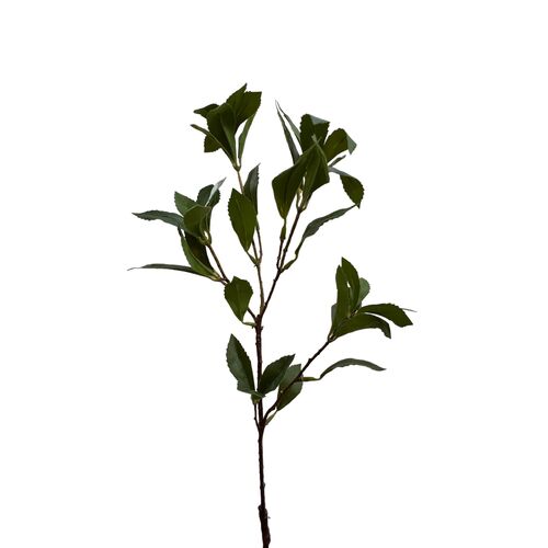 Ficus Spray Greenery SM154-GR