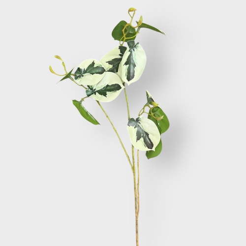 Heart Leaf Spray SM158-B