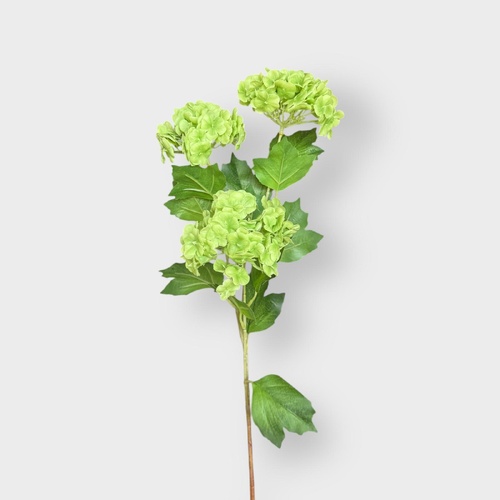 Snowball Hydrangea x3 SM169-GR