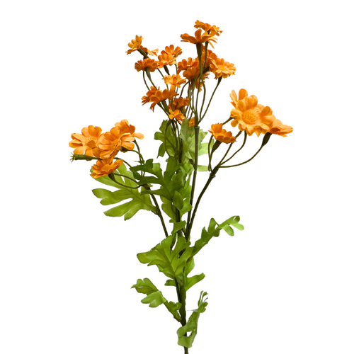 Chamomile Spray SM171-OR