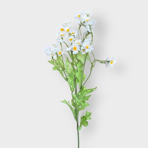 Chamomile Spray SM171-WH
