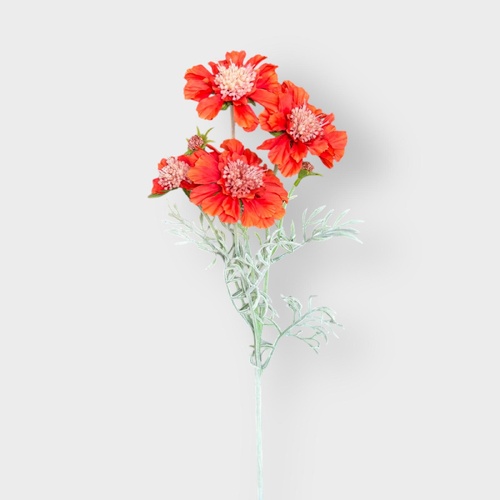 Scabiosa Spray SM175-OR