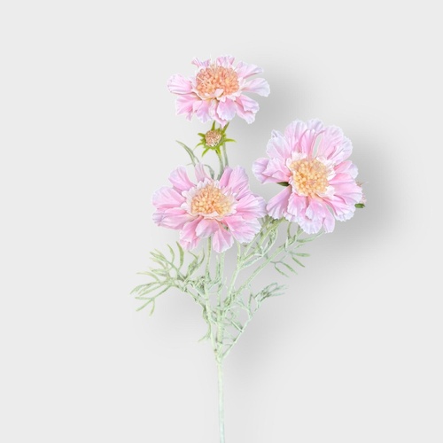 Scabiosa Spray SM175-PNK
