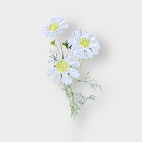 Scabiosa Spray SM175-WH