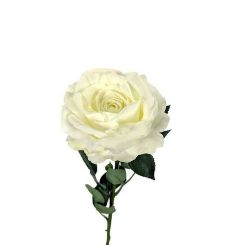 Large Rose Cream SY4351