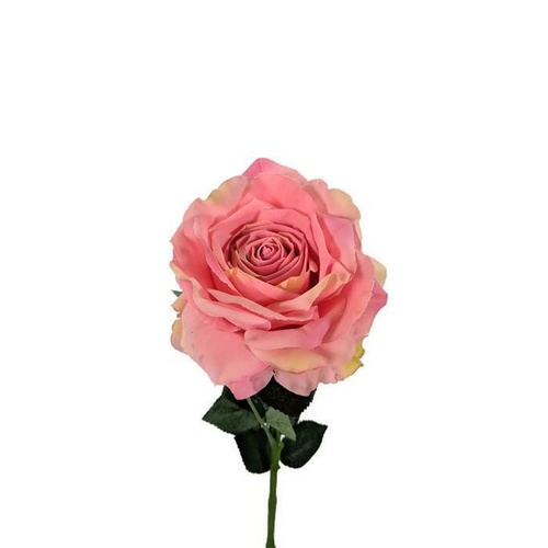 Large Premium Rose SY4351-PNK
