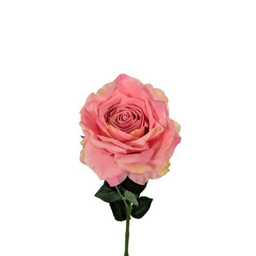 Large Premiun Rose Pink SY4351