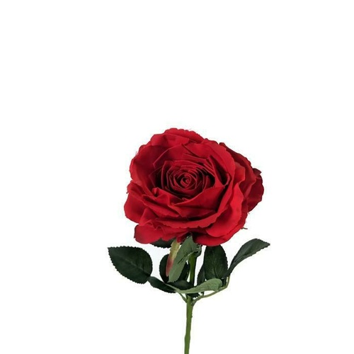 Large Premiun Rose Red SY4351