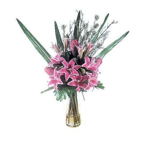 Oriental Paradise Sf500