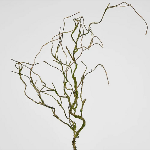 Twig Vine T05