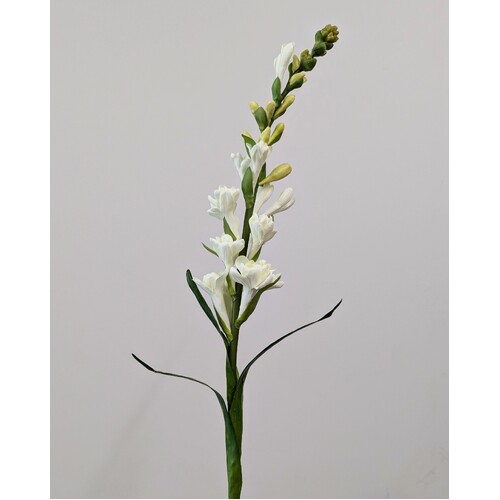 TUBEROSE SPRAY T76C 