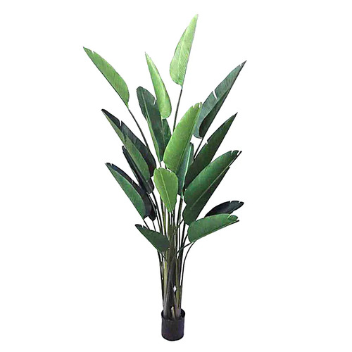 Giant Bird of Paradise Tree TC103
