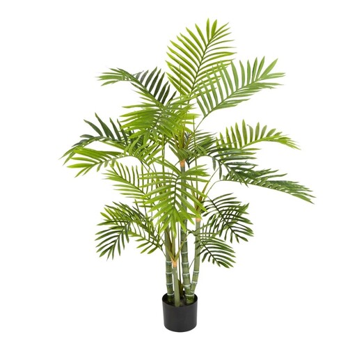PALM TREE TC113