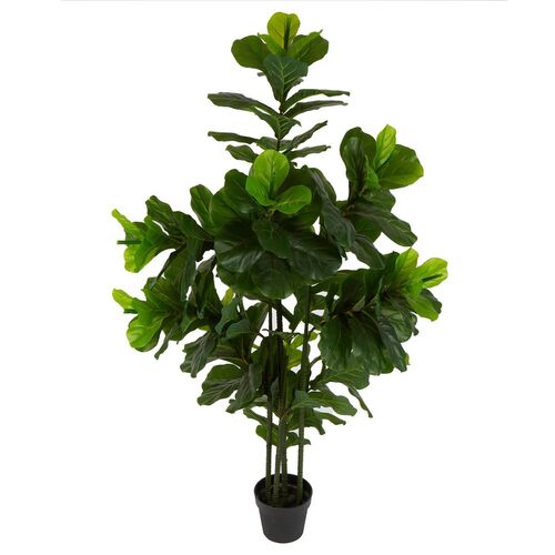 Fiddle Leaf Tree 1.75M