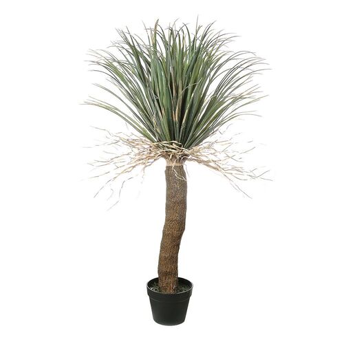 Grass Tree TC134