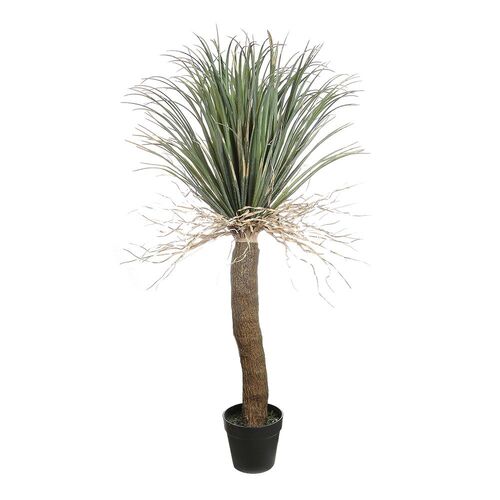 2m Grass Tree TC135